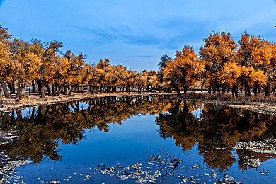 《漫威金刚狼》可能将略过2025年 SBI公司参与制作